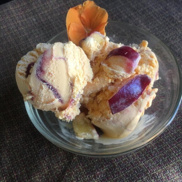 Recipe that works for homemade plum sorbet - Picture 4 of 5